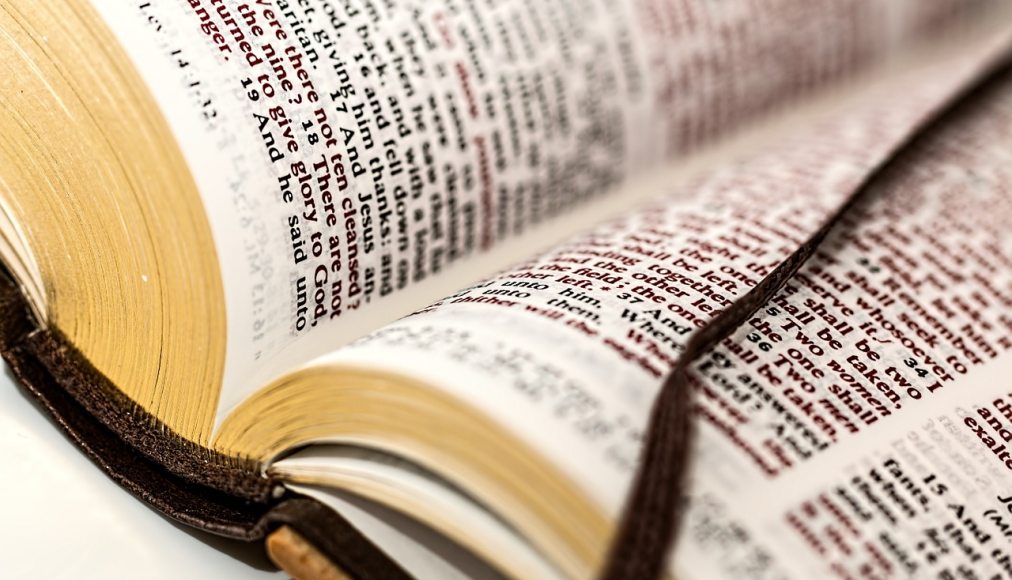 Sept paroles qui en disent long Sept paroles qui en disent long / Bible