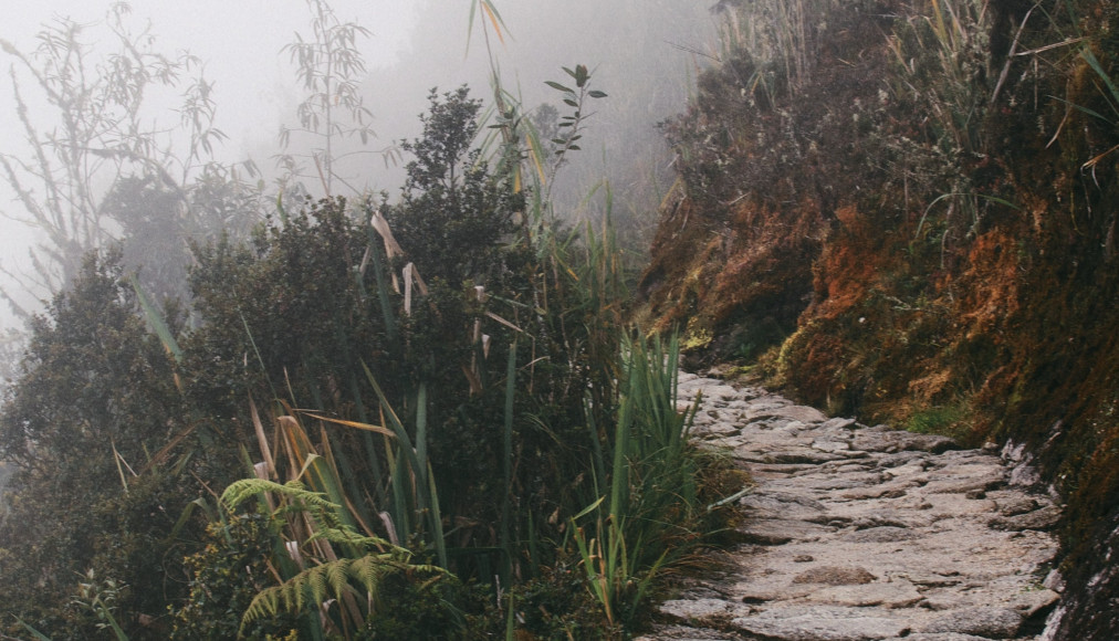 Le chemin pour se connaître n’est jamais arrêté ou limpide. Le chemin pour se connaître n’est jamais arrêté ou limpide. / © John Salzarulo / Unsplash