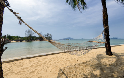 Vivent les vacances / ©iStock